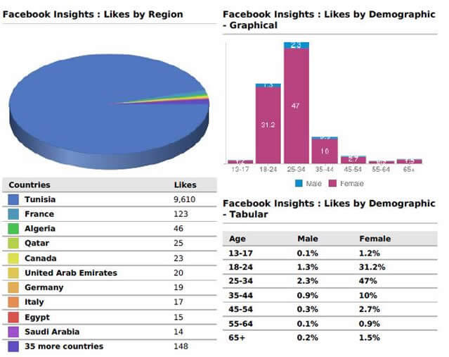 Facebook marketing rapportage